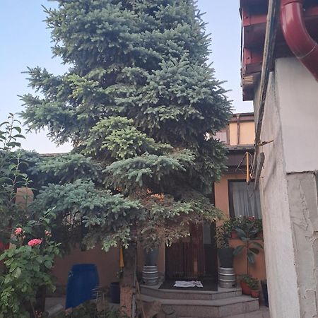 Casa Rusu Lägenhet Galaţi Exteriör bild