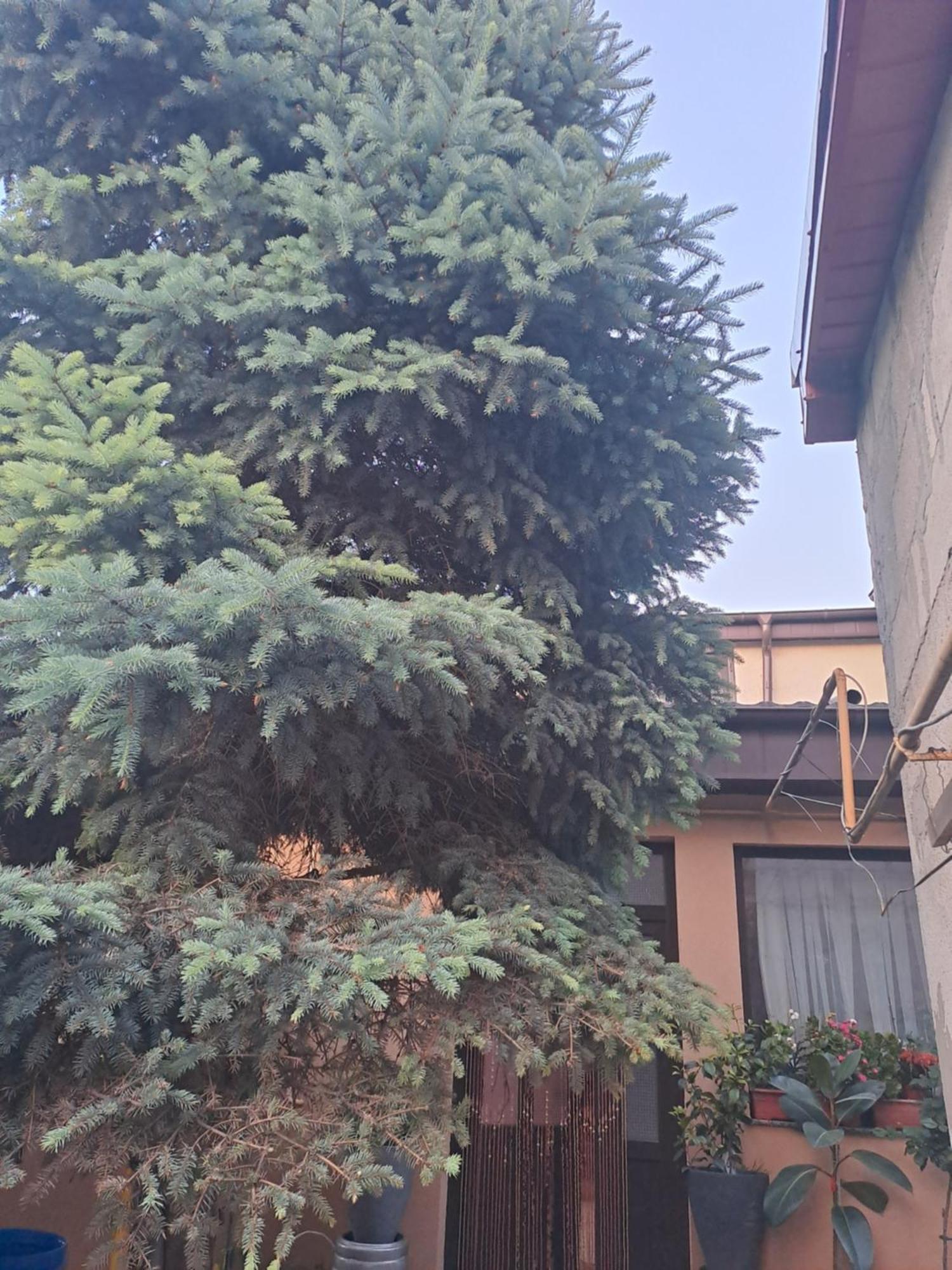 Casa Rusu Lägenhet Galaţi Exteriör bild